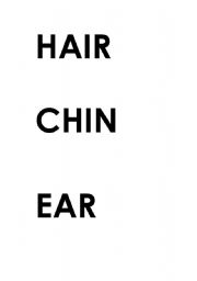 English Worksheet: body parts