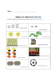 English Worksheet: singular and plural