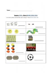 English worksheet: singular and plural