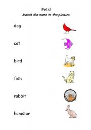 English worksheet: Pets!