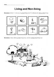 English Worksheet: Living and Non-living things