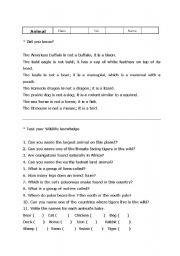 English worksheet: Animal Quiz