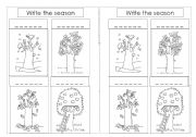 English Worksheet: The four seasons