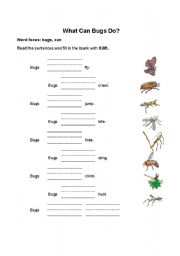 English Worksheet: What can bugs do
