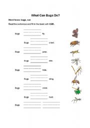 English worksheet: What can bugs do