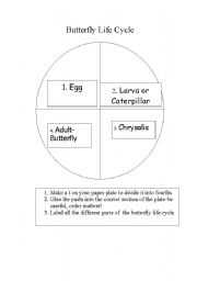 English worksheet: Butterfly life cycle