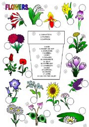 English Worksheet: flowers