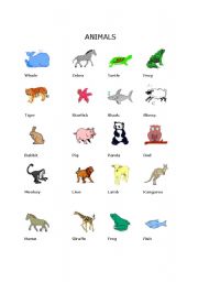 English worksheet: animals