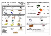 English worksheet: a nice test for young students