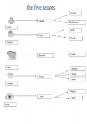 English Worksheet: five senses