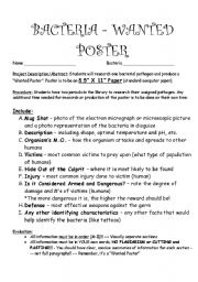 English Worksheet: Bacteria Project