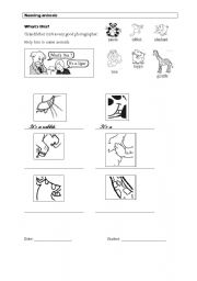 English worksheet: naming animals - its a...