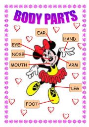 English Worksheet: BODY PARTS