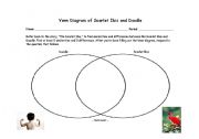 English Worksheet: Scarlet Ibis Venn Diagram