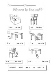 English Worksheet: Where is the cat?