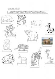 English worksheet: ANIMALS