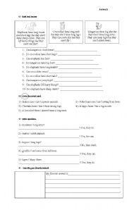 English Worksheet: Animals