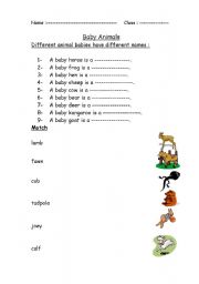 English worksheet: Baby Animals