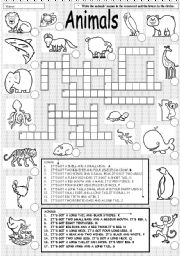 English Worksheet: ANIMALS CROSSWORD