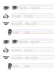 English Worksheet: Practice writting Body parts word
