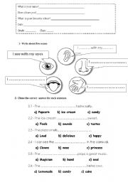 English Worksheet: The five senses