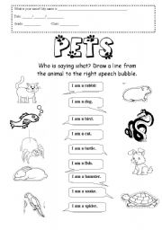 English Worksheet: Pets - Who is Who?