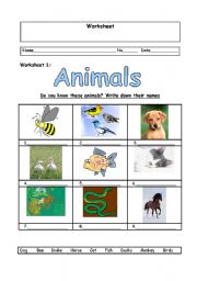 English worksheet: Animals