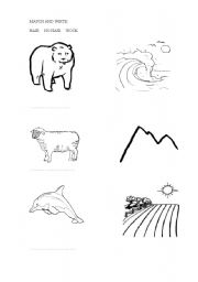 English worksheet: animals and habitats