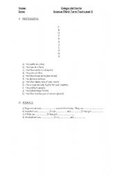 English Worksheet: Science test
