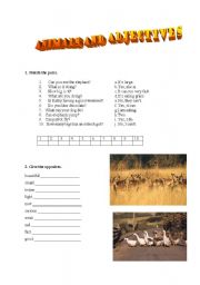 English worksheet: Animals and adjectives