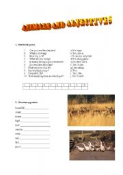 English Worksheet: Animals and adjectives