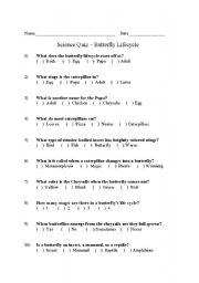 English worksheet: Butterfly Quiz - Second Grade