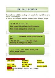 English Worksheet: plural forms