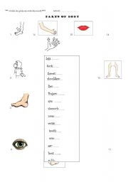 English worksheet: Body parts