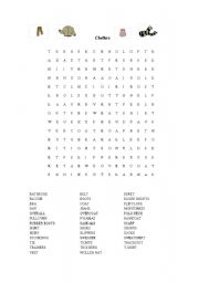 English worksheet: a wordsearch on clothes 