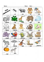 English Worksheet: The alphabet