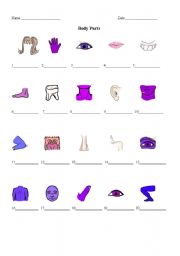 English Worksheet: Body Parts