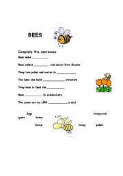 English Worksheet: Bees Worksheet