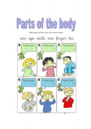 English Worksheet: parts of the body