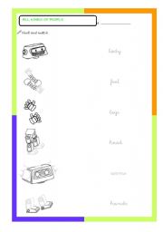 English worksheet: Parts of the body