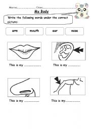 English Worksheet: body parts