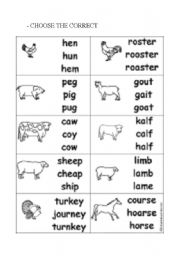 English worksheet: animals