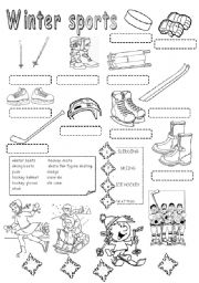 English Worksheet: WINTER SPORTS