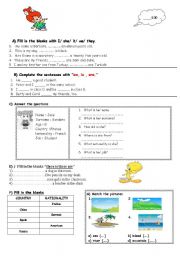 an exam paper for elementary students