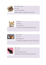 English worksheet: Pets