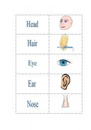 English worksheet: Body Cards 1