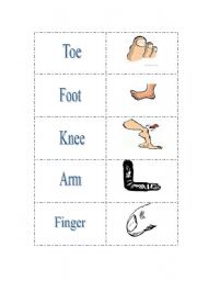 English worksheet: Body parts 3