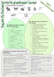 English Worksheet: INSECT IDIOMS AND PHRASES