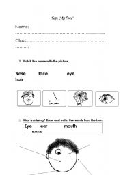 English worksheet: My face