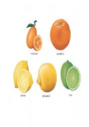 English Worksheet: FRUITS